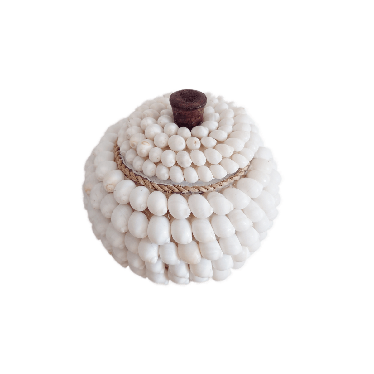 Potes Redondos de Conchas "Océano" 🐚