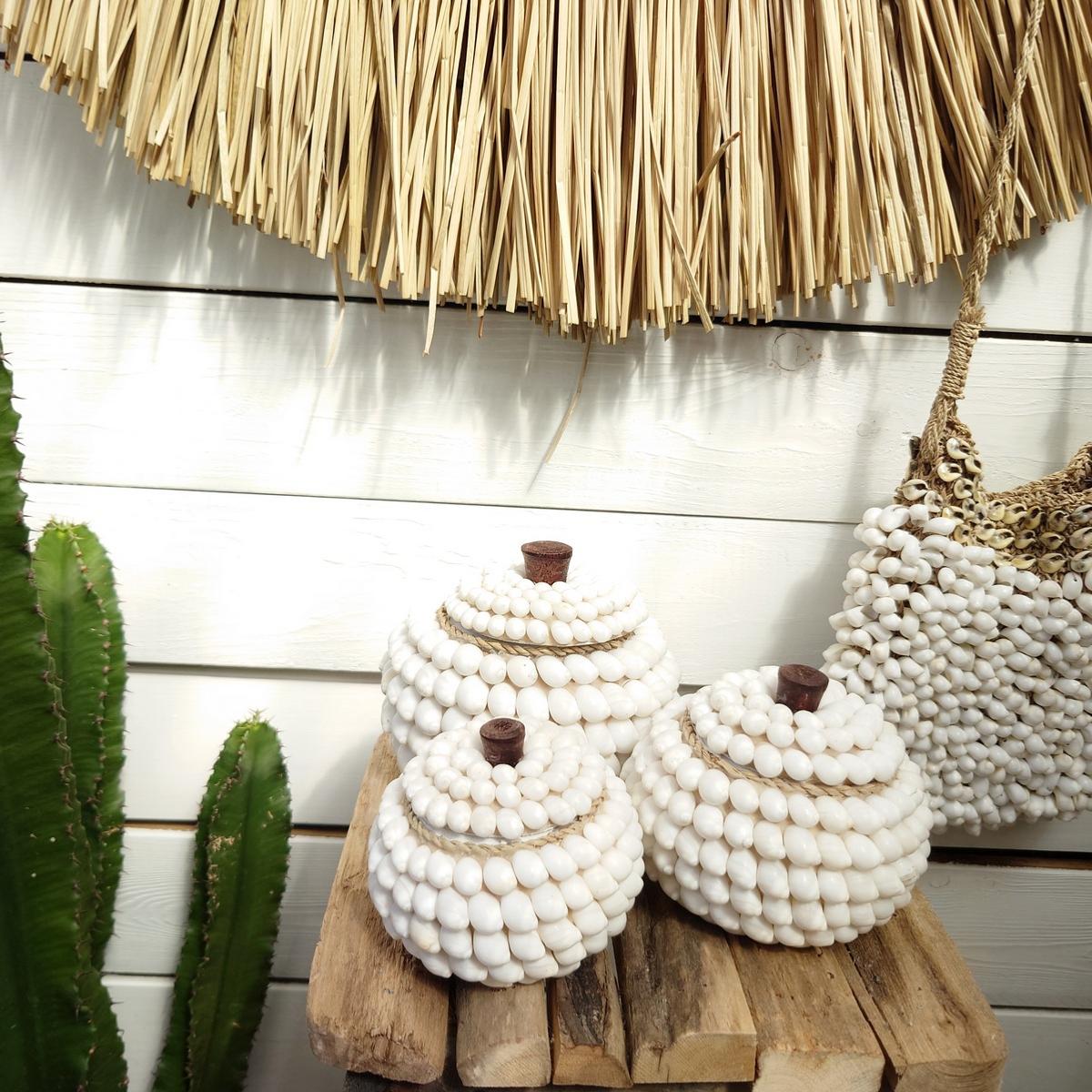Potes Redondos de Conchas "Océano" 🐚