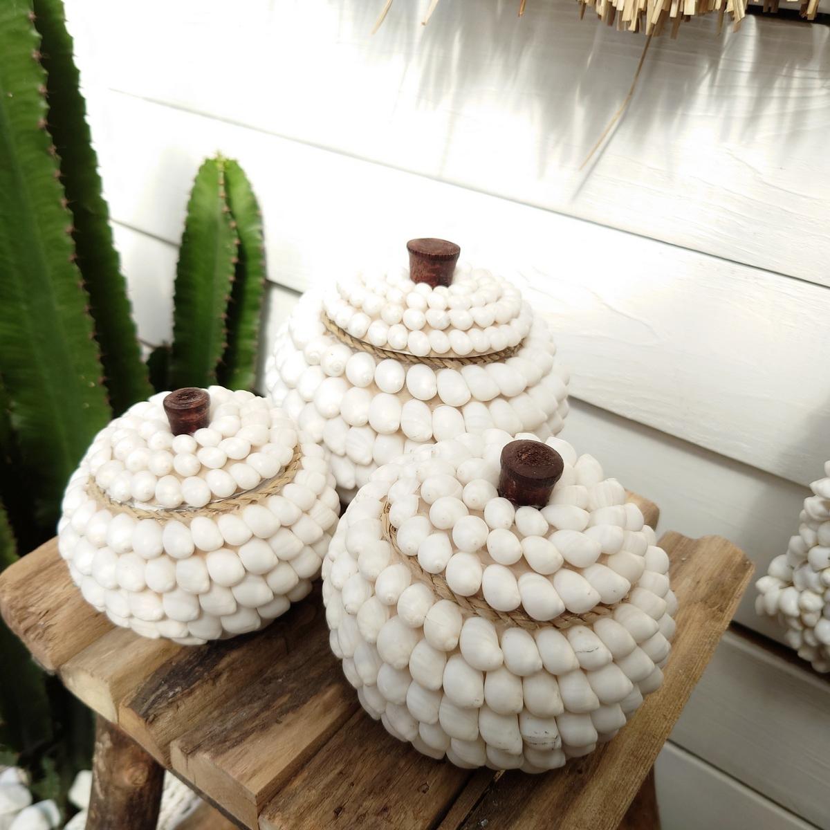 Potes Redondos de Conchas "Océano" 🐚