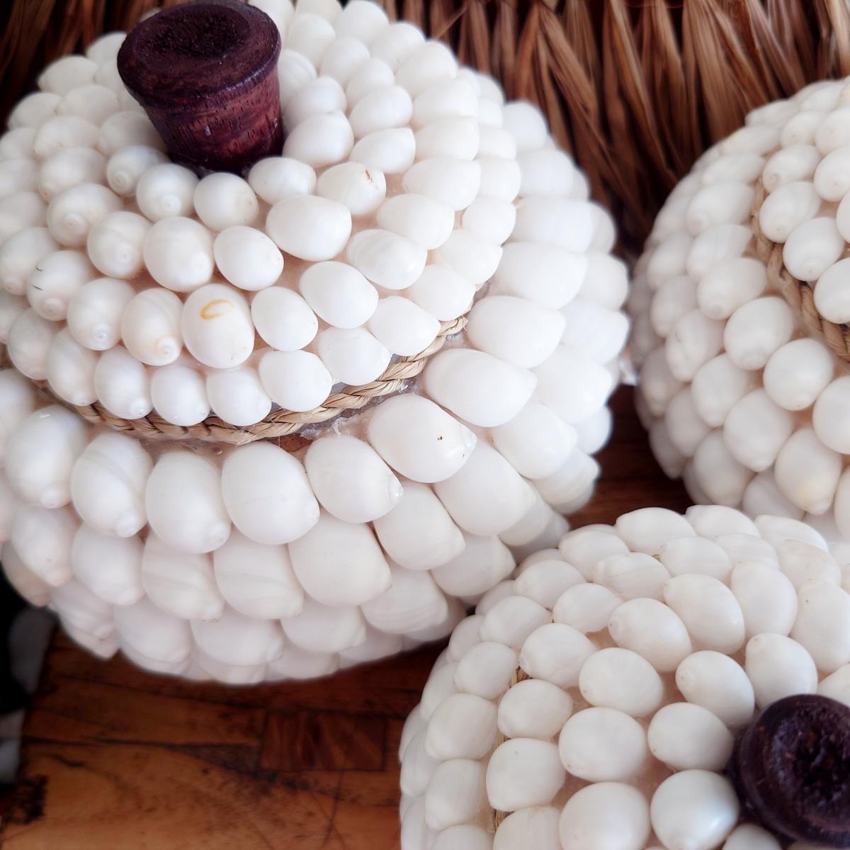 Potes Redondos de Conchas "Océano" 🐚
