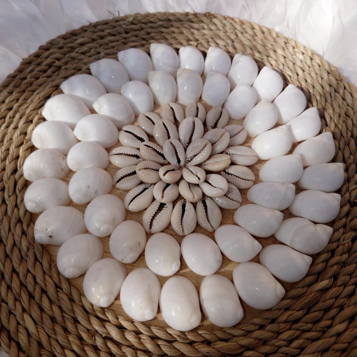 Decoración de Pared en Plumas y Conchas D 40 cm