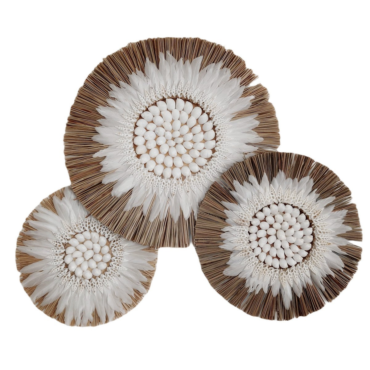 Decoración en Rafia, Plumas y Conchas