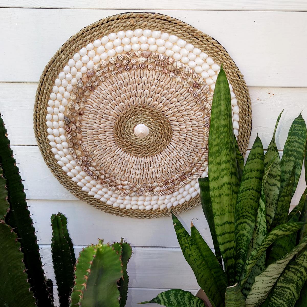 Decoración de Pared en Conchas D 40 cm