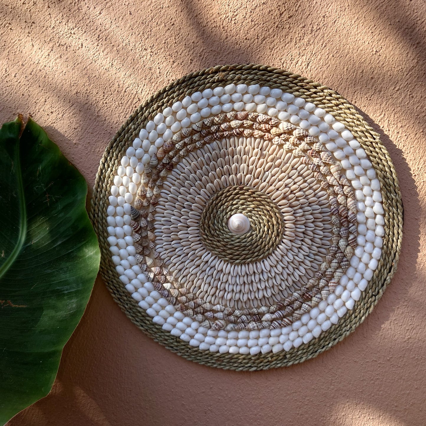 Decoración de Pared en Conchas D 40 cm