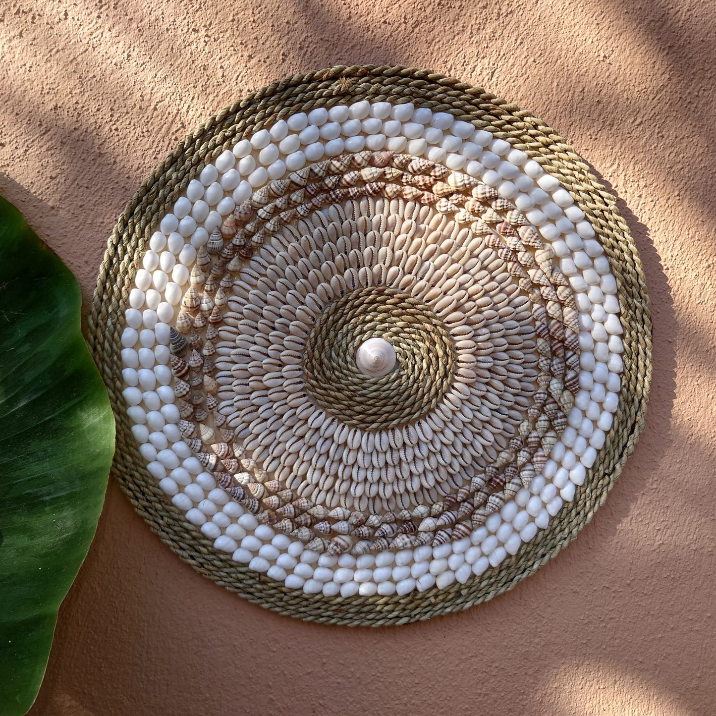 Decoración de Pared en Conchas D 40 cm