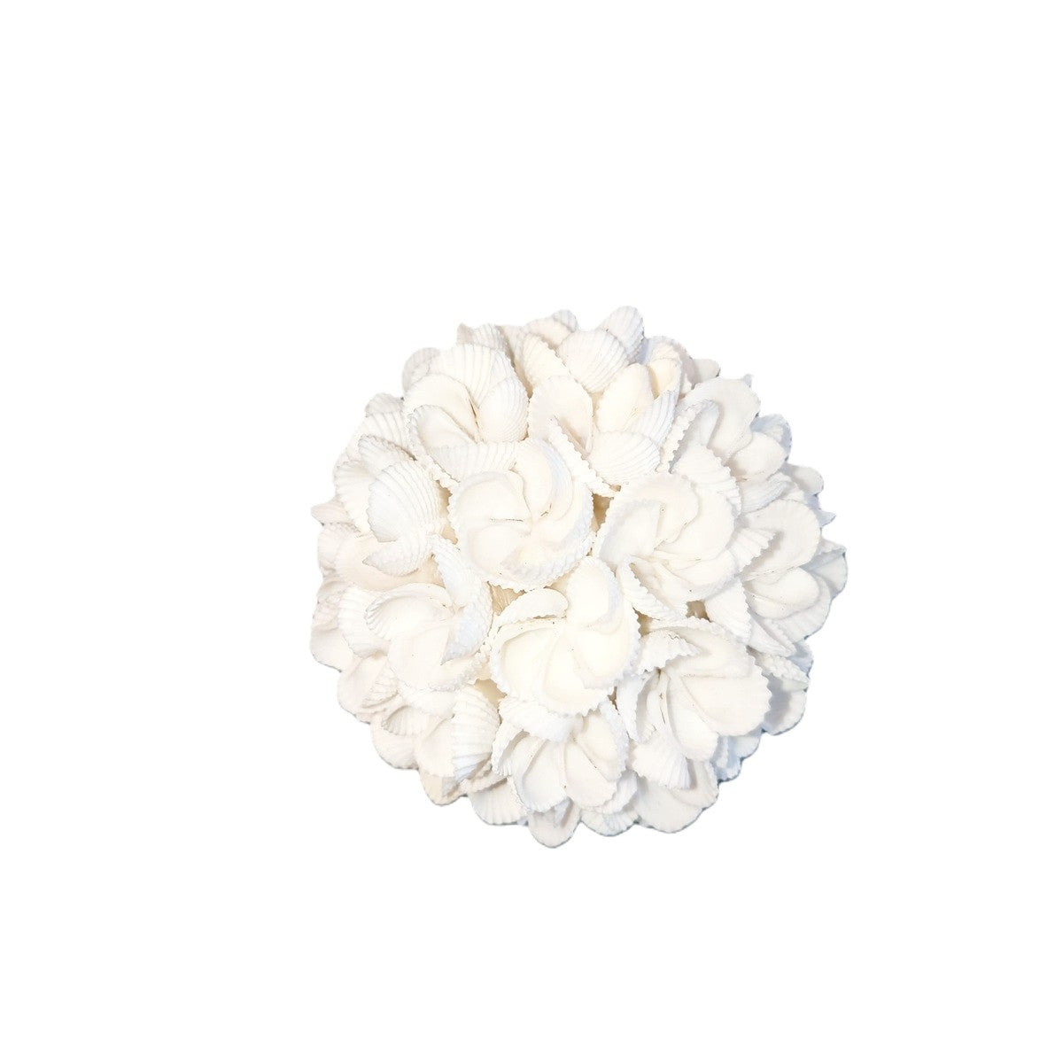 Palline decorative di conchiglia - Set di 3