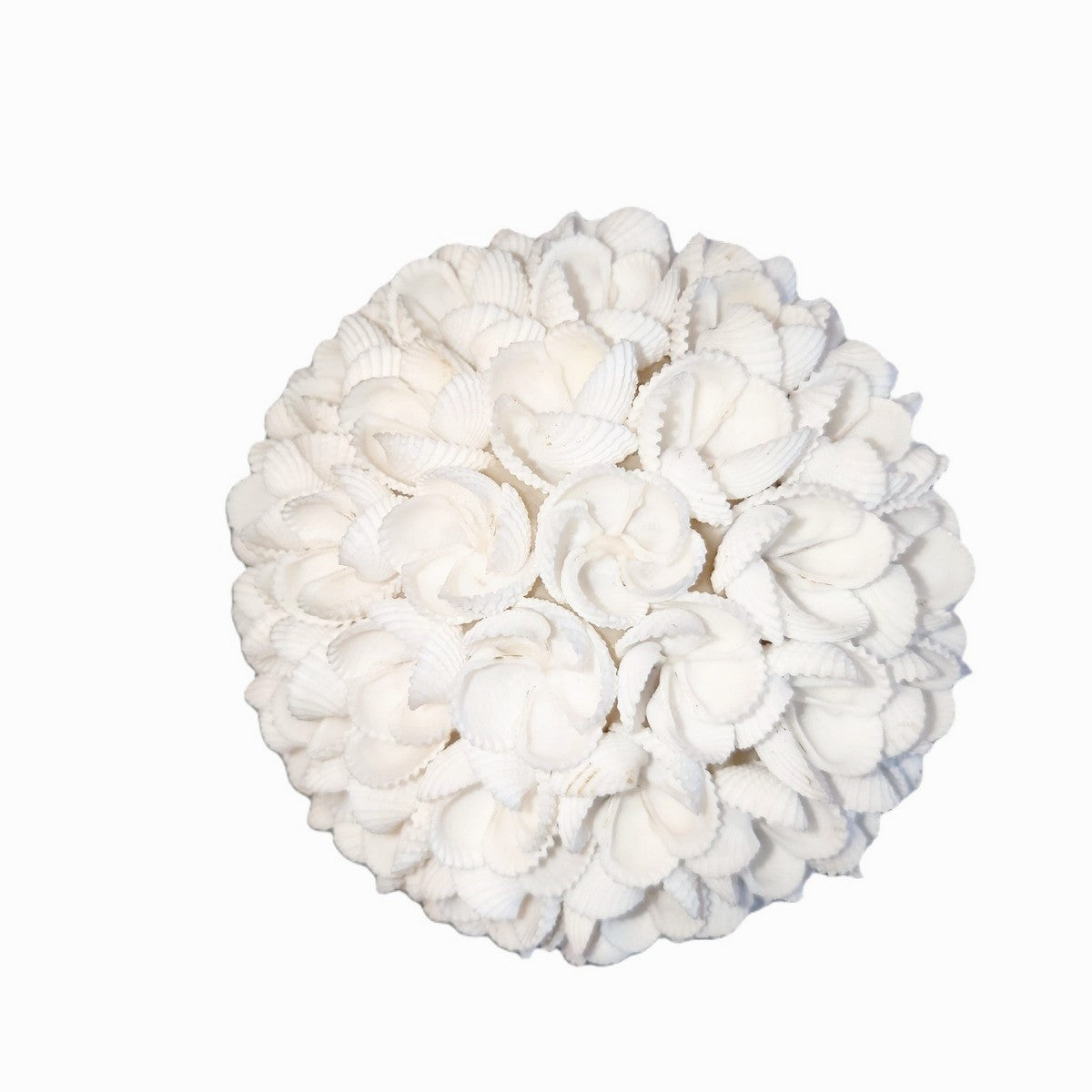 Palline decorative di conchiglia - Set di 3