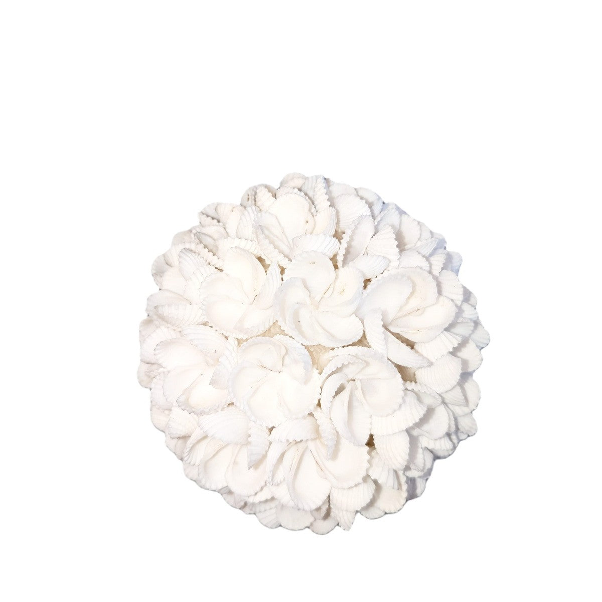 Palline decorative di conchiglia - Set di 3