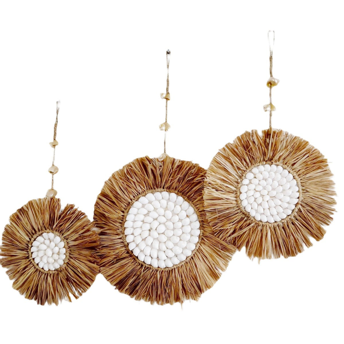 Decorazioni rotonde in rafia e conchiglie