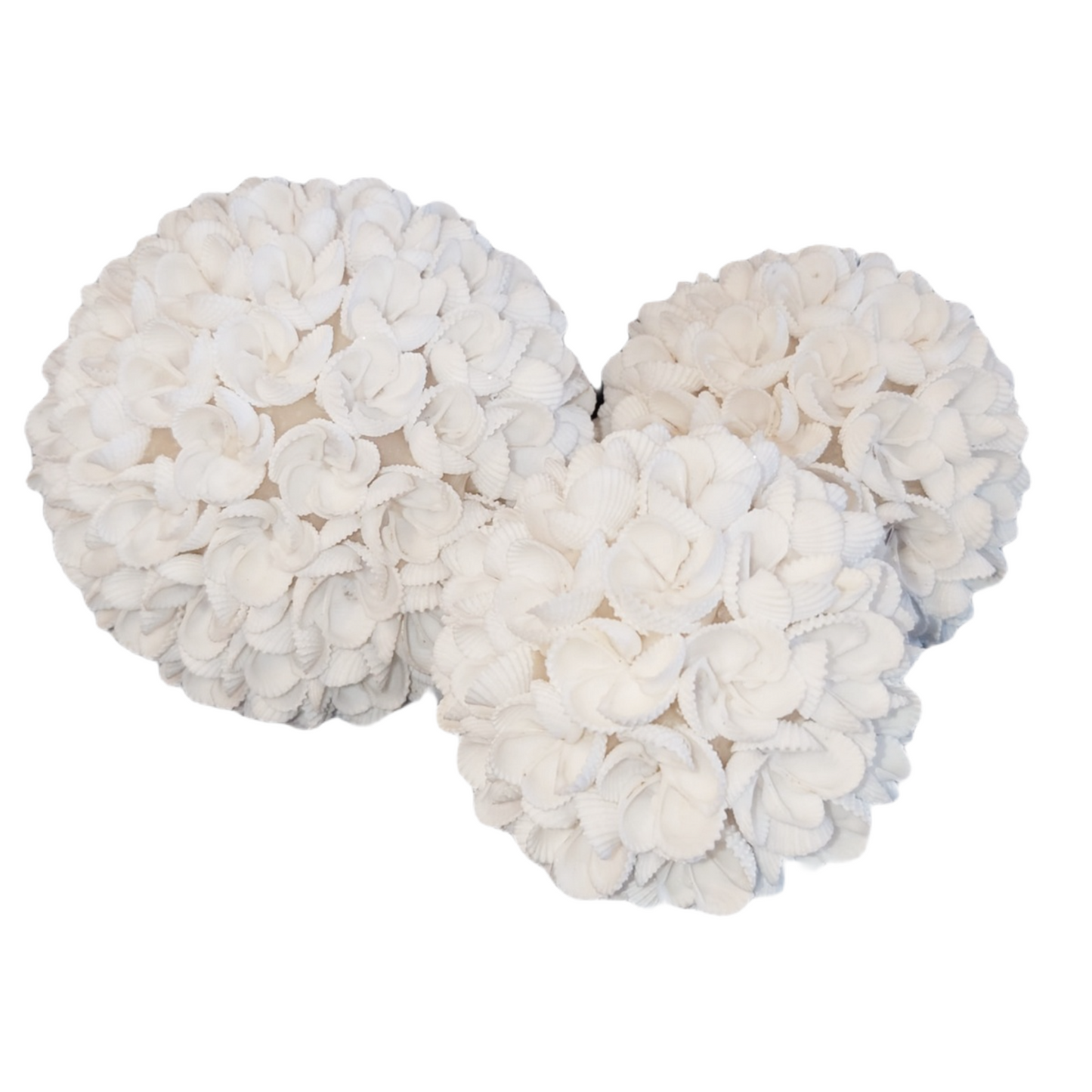 Palline decorative di conchiglia - Set di 3