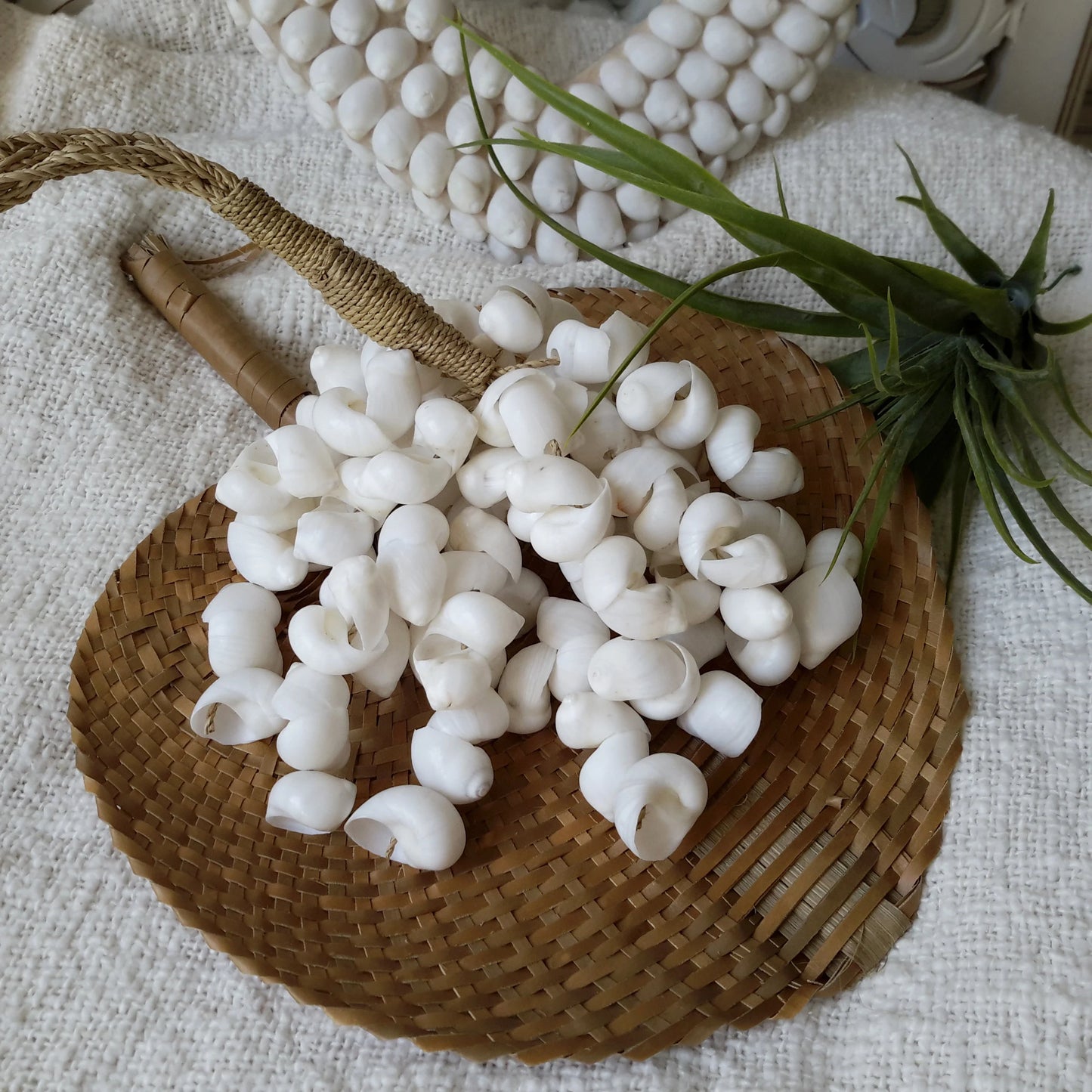 Colgante Exótico de Conchas