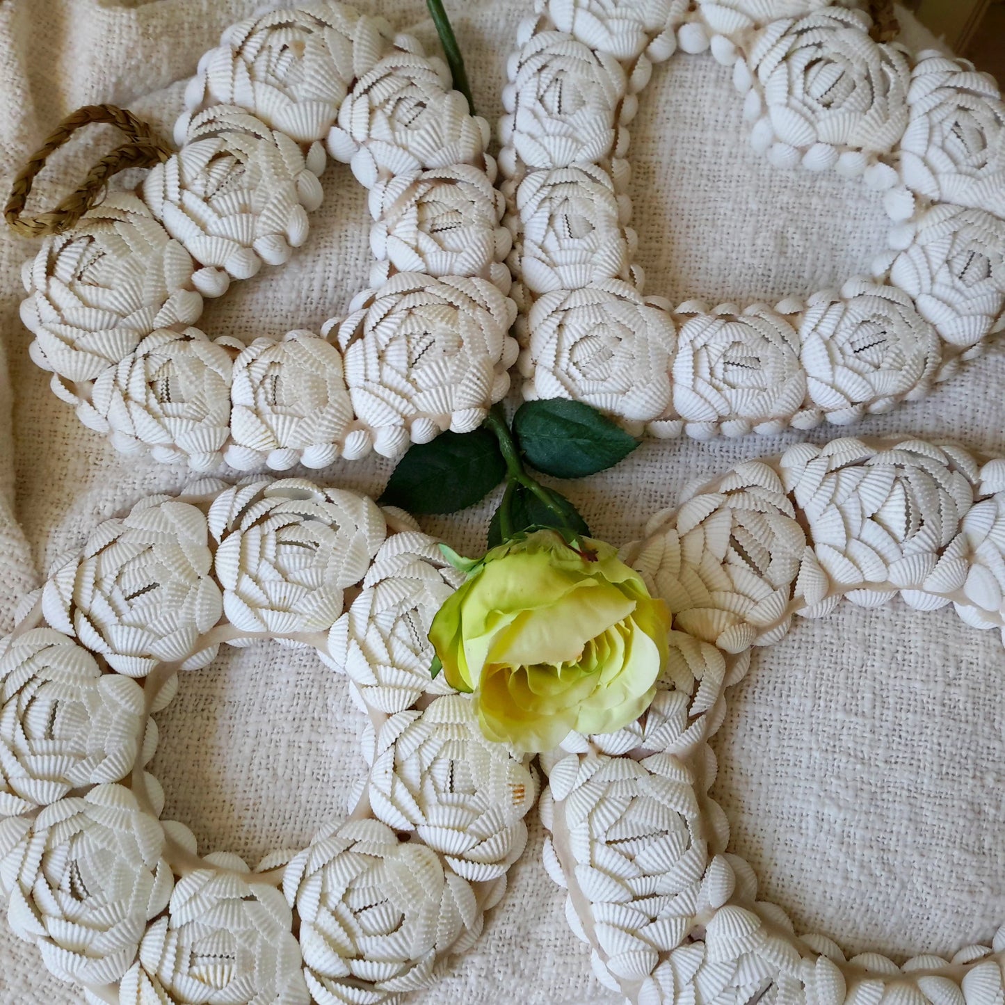 Cerchio decorativo in conchiglie 🐚