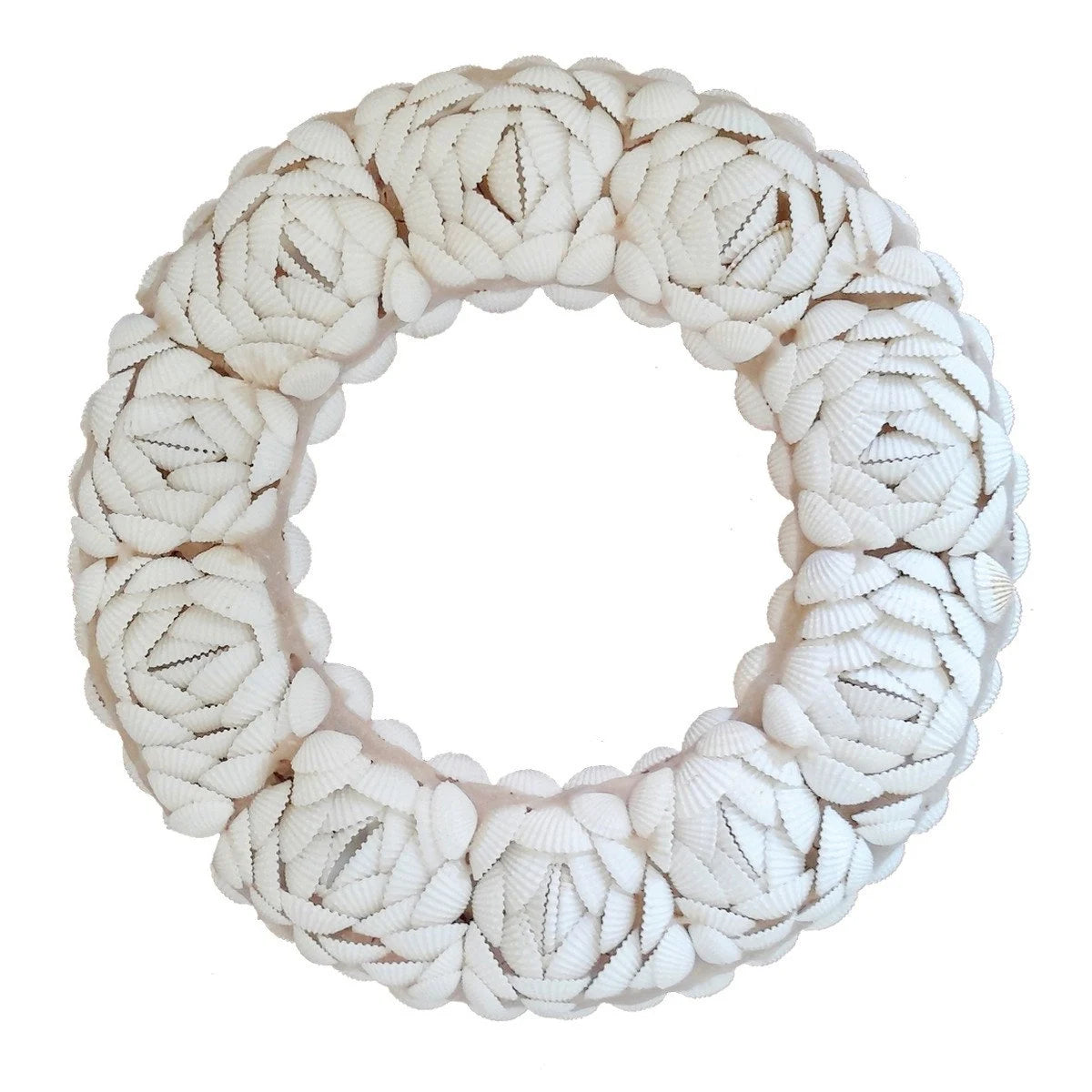 Cerchio decorativo in conchiglie 🐚