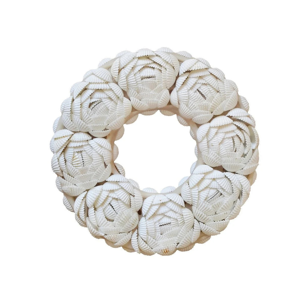 Cerchio decorativo in conchiglie 🐚