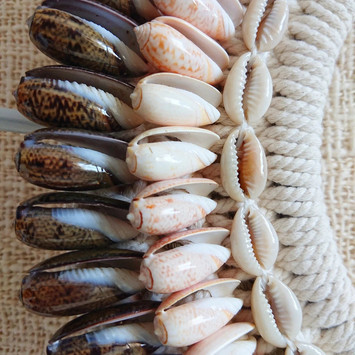 Collier Ellada Marron/Beige