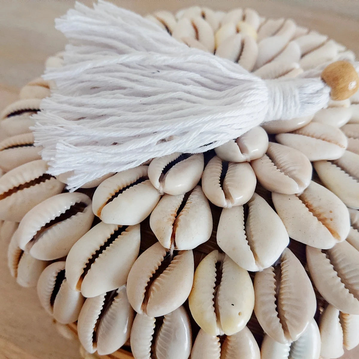 Scatola in bambù e conchiglia Breeze D 16cm 🌿🐚