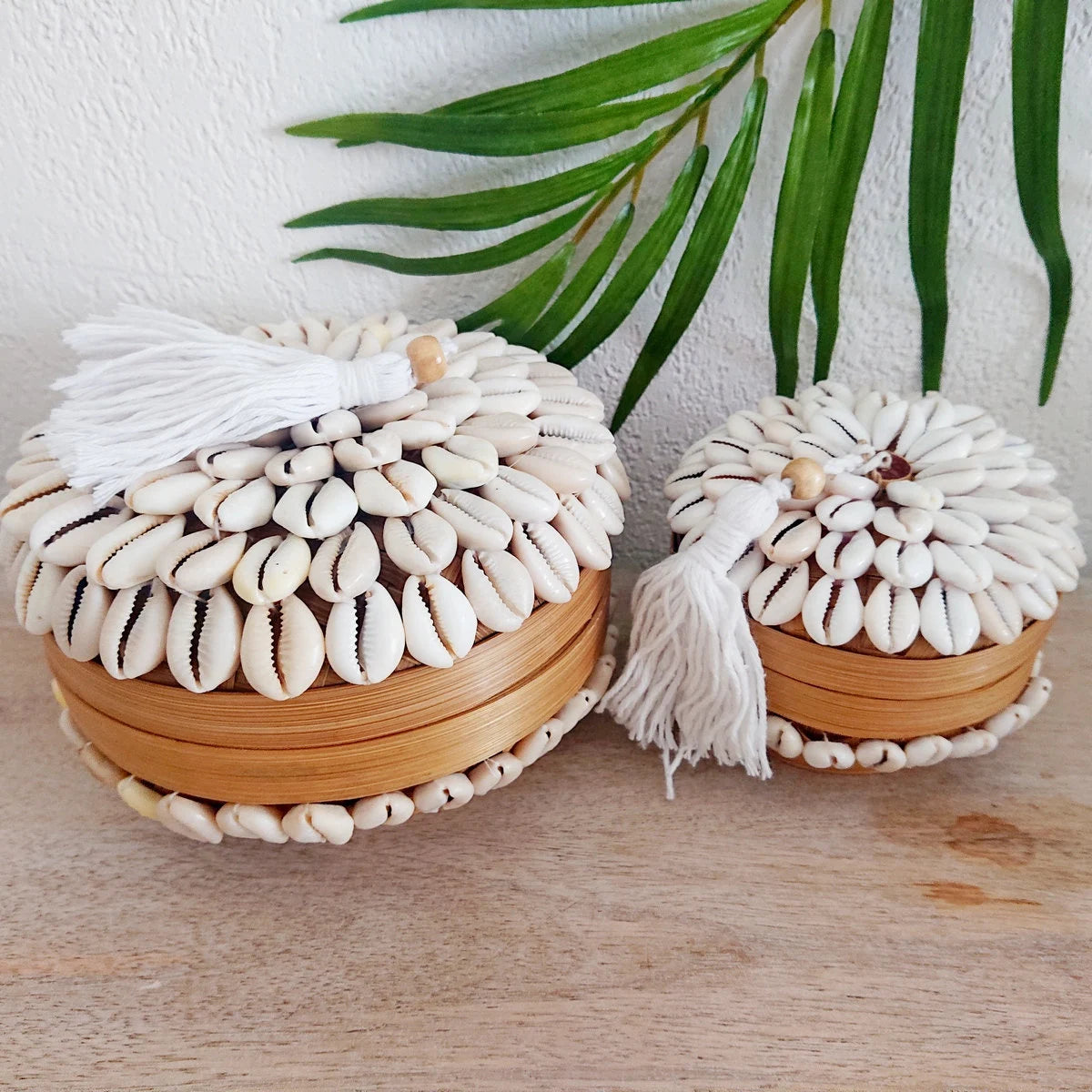 Scatola in bambù e conchiglia Breeze D 16cm 🌿🐚