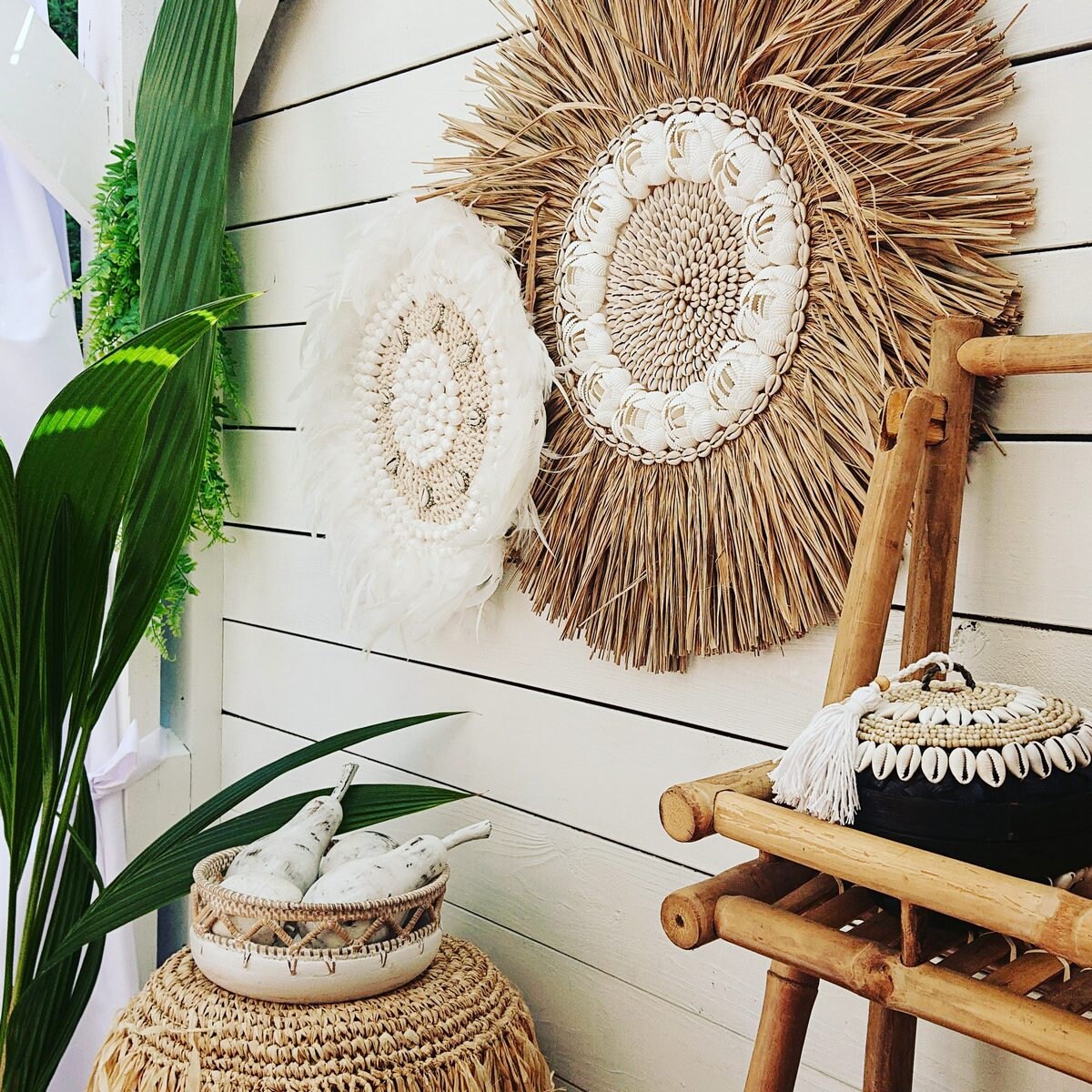 Decoración de Pared con Plumas Blancas y Caracoles Caurí