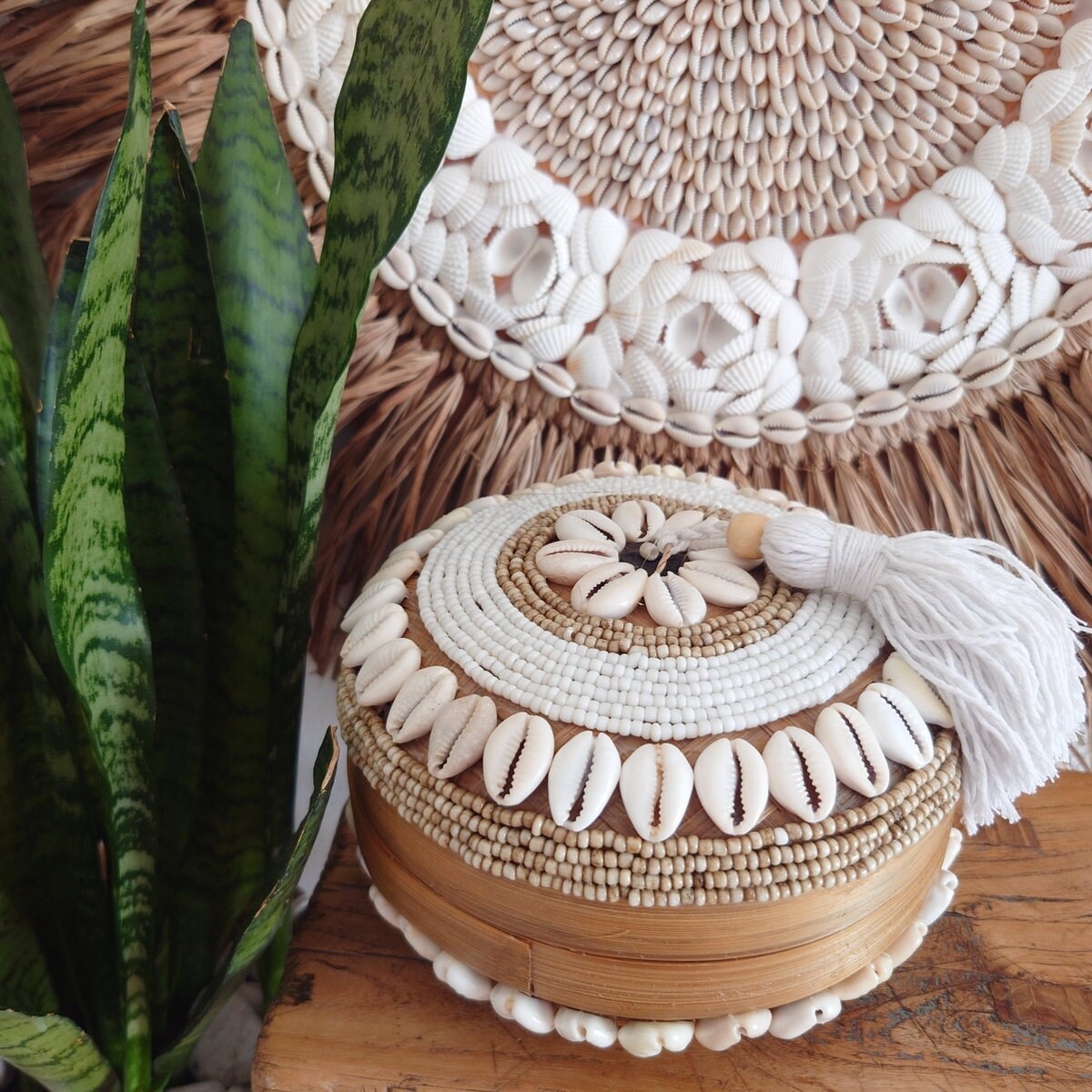 Scatola perle e conchiglie Zara D 16cm 🌿🐚