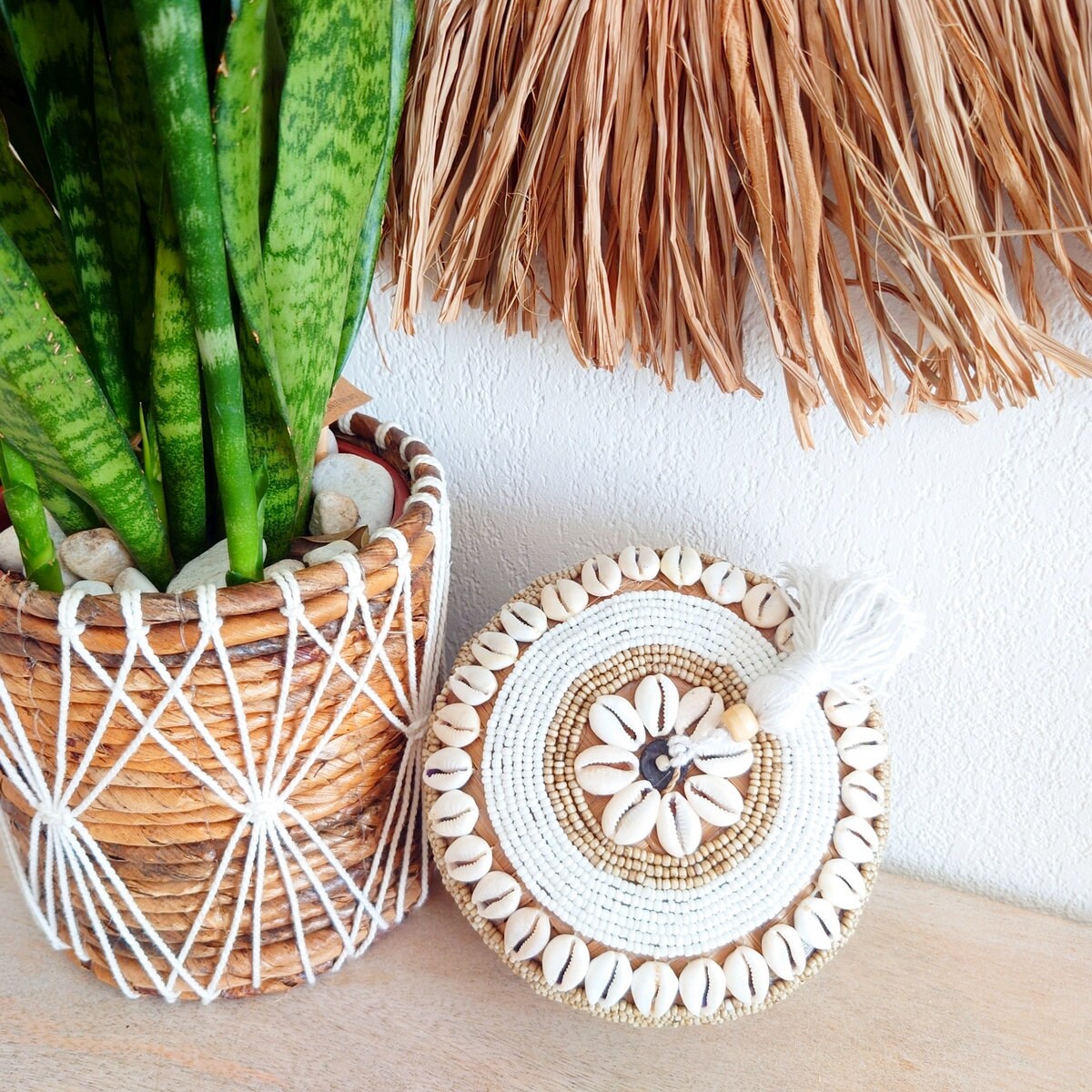 Scatola perle e conchiglie Zara D 16cm 🌿🐚