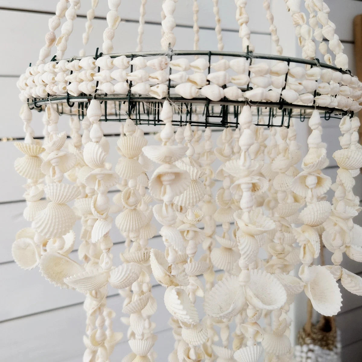 Lámpara Colgante "Ocean" de Conchas Blancas