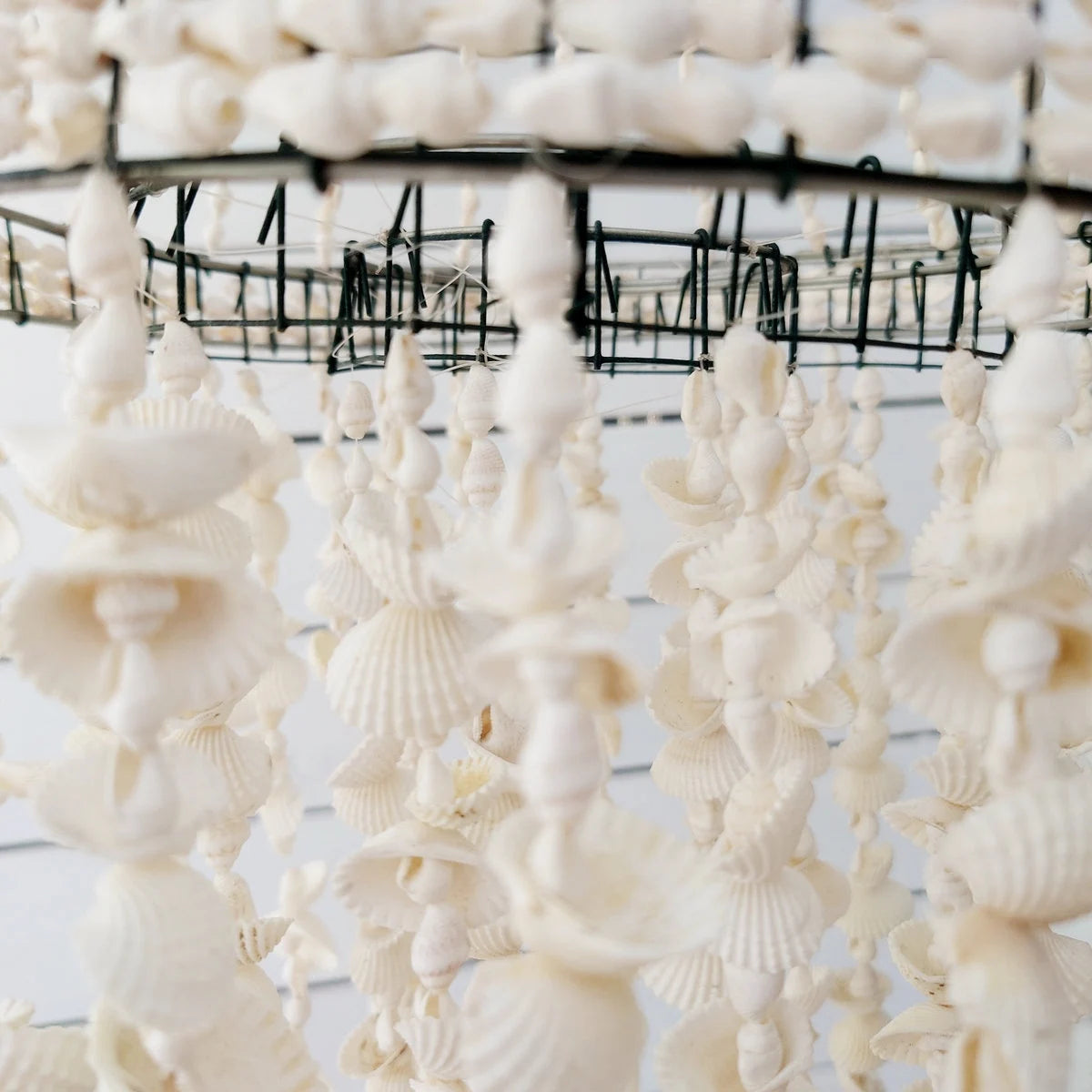 Lámpara Colgante "Ocean" de Conchas Blancas