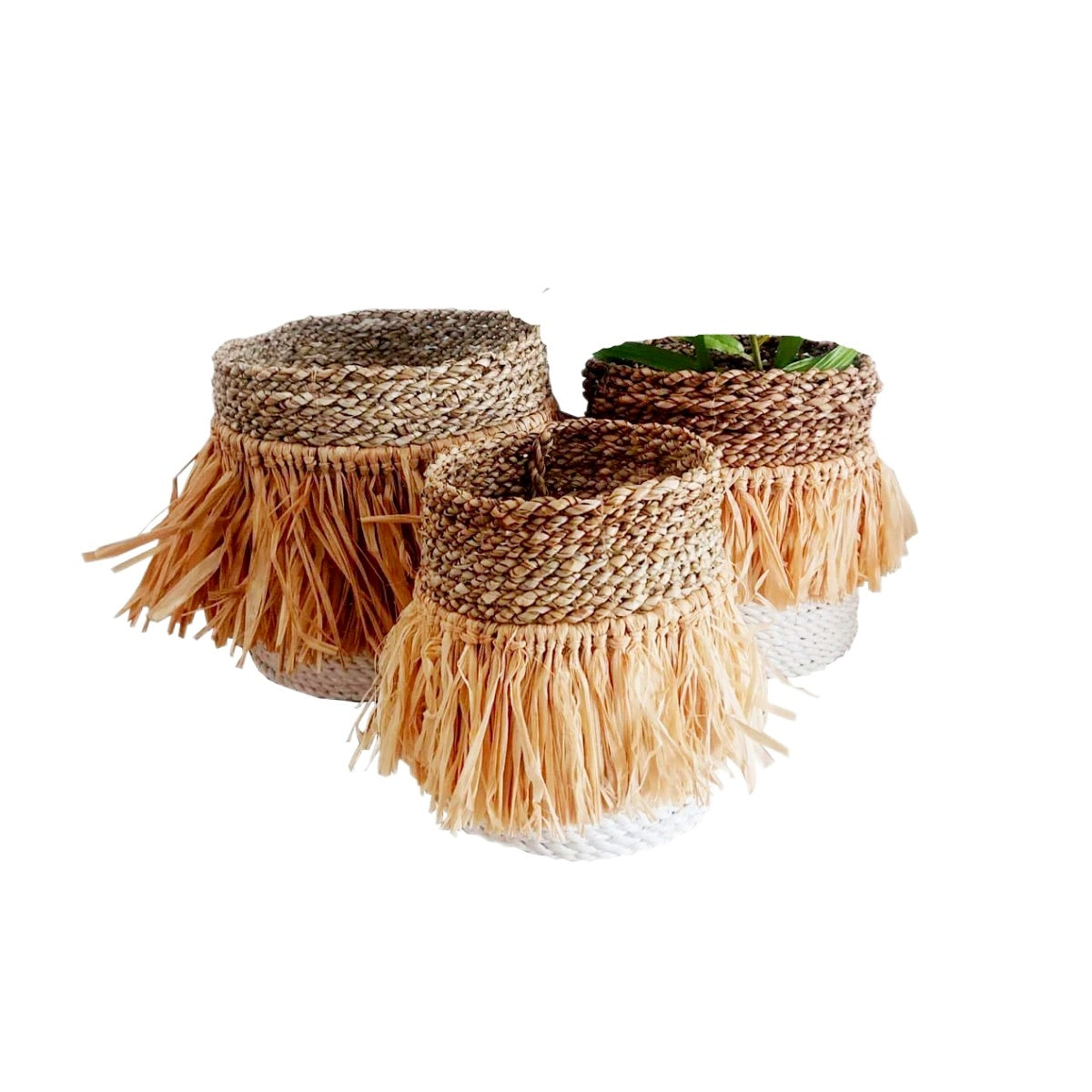 Runder Seegraskorb mit Bastfransen